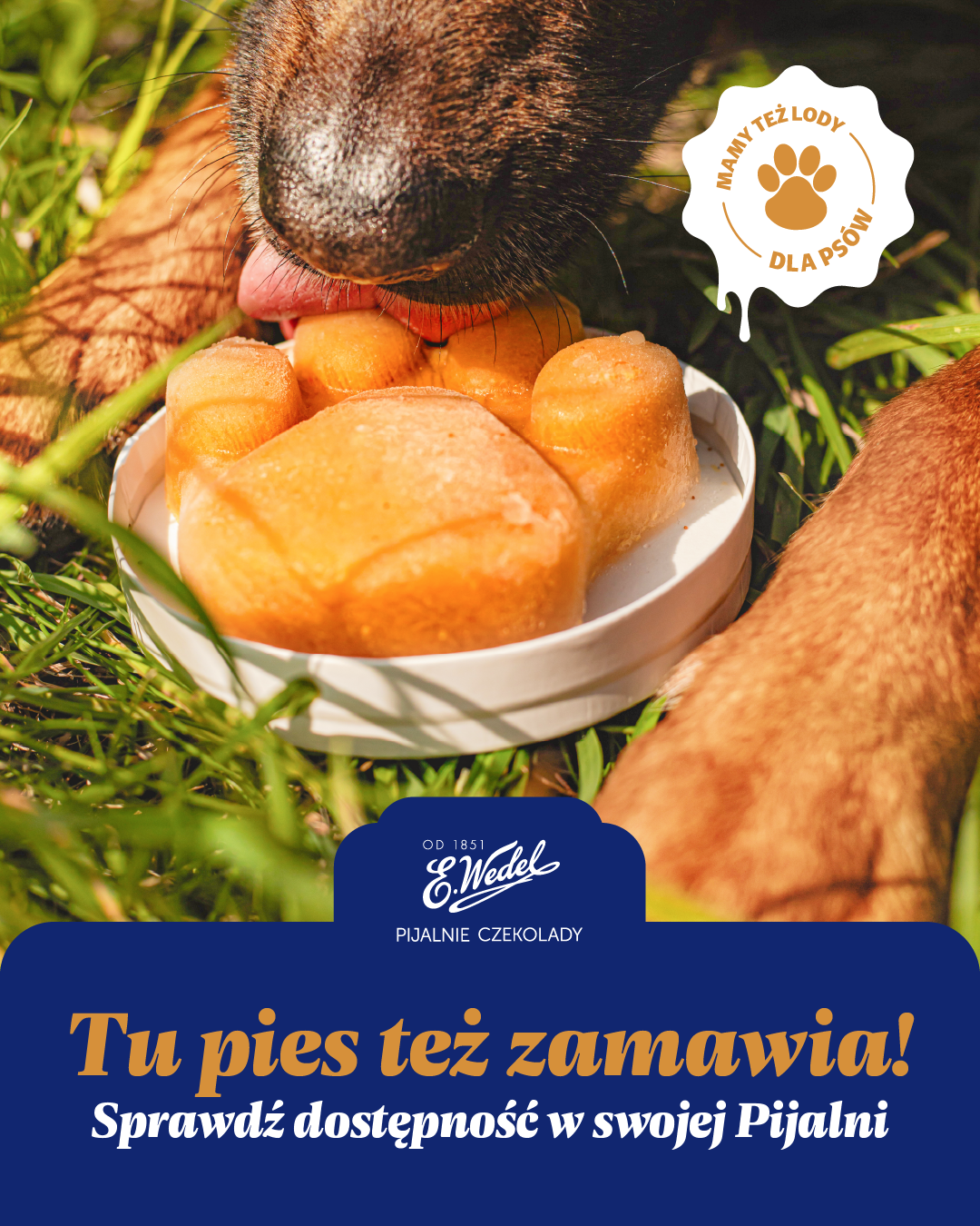 Dzień Psa