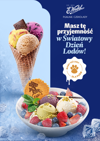 Dzień lodów